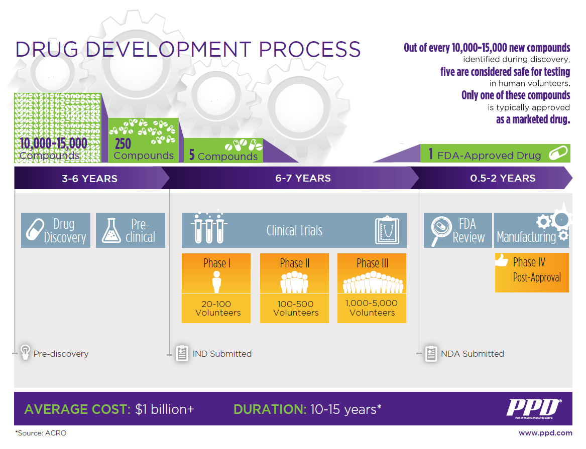 Drug Development Process