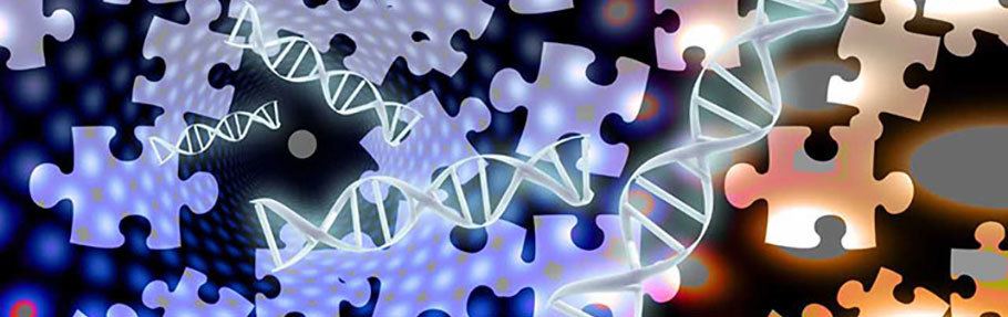 illustration of puzzle pieces and dna strands