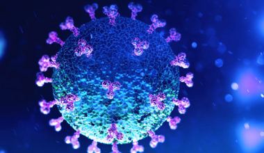 COVID-19 Virus Cells