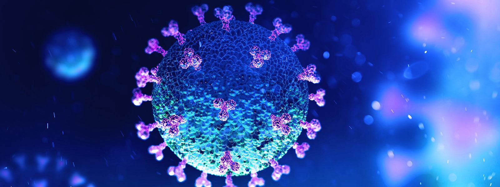 COVID-19 Virus Cells