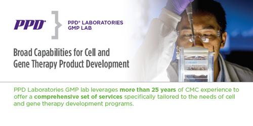 GMP Lab Cell and Gene Therapy Product Development Overview