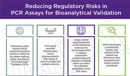 Reducing regulatory risks in PCR assays for bioanalytical validation.