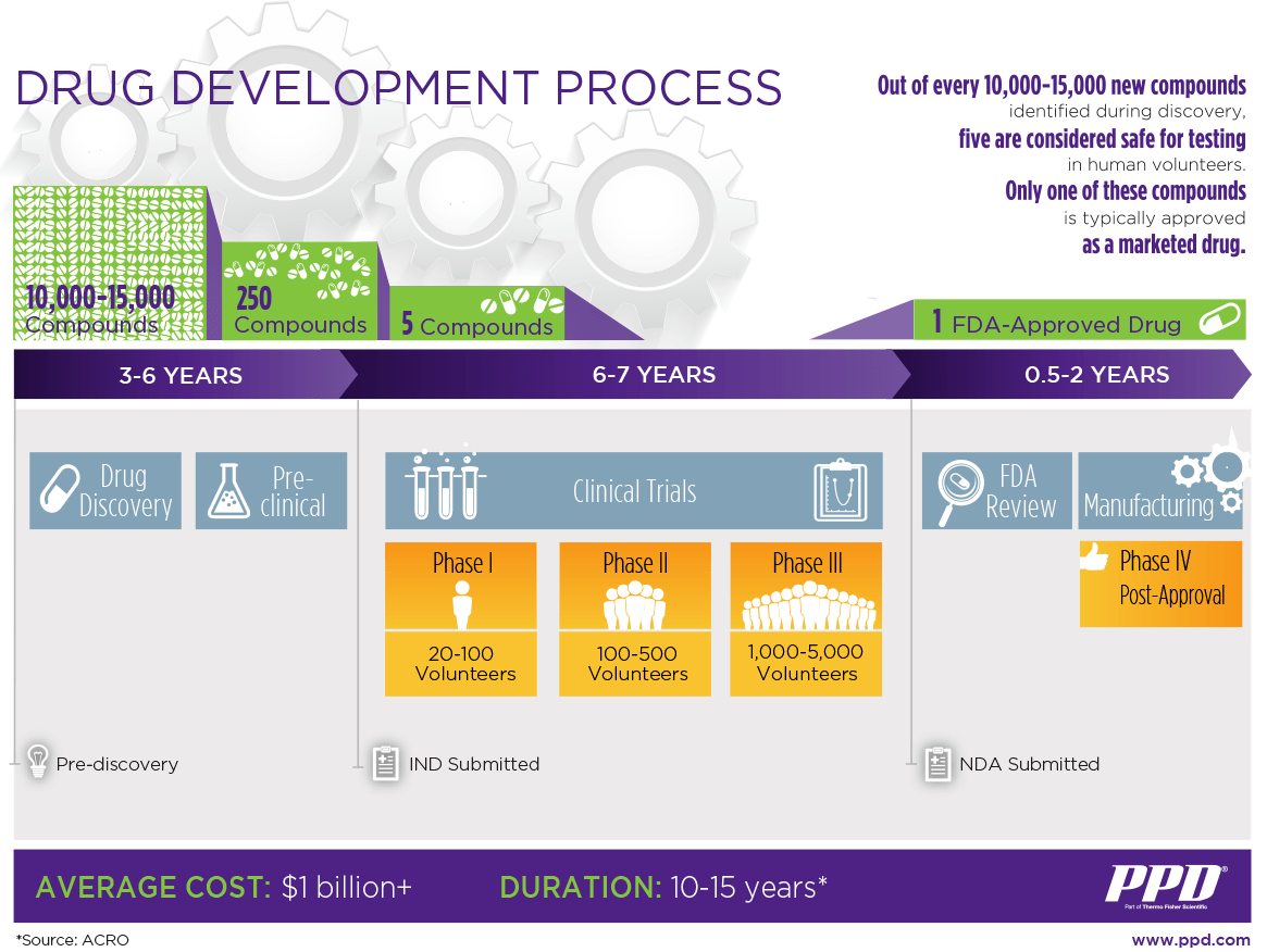 Drug development process infographic displaying pre-discovery (3 to 6 years), IND submitted (6 to 7 years), nd NDA submitted (0.5 to 2 years)