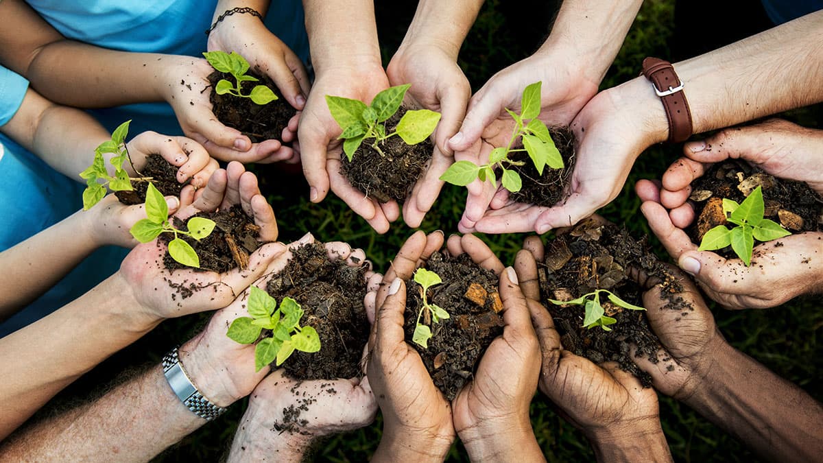 A circle of hands, each holding soil and a plant