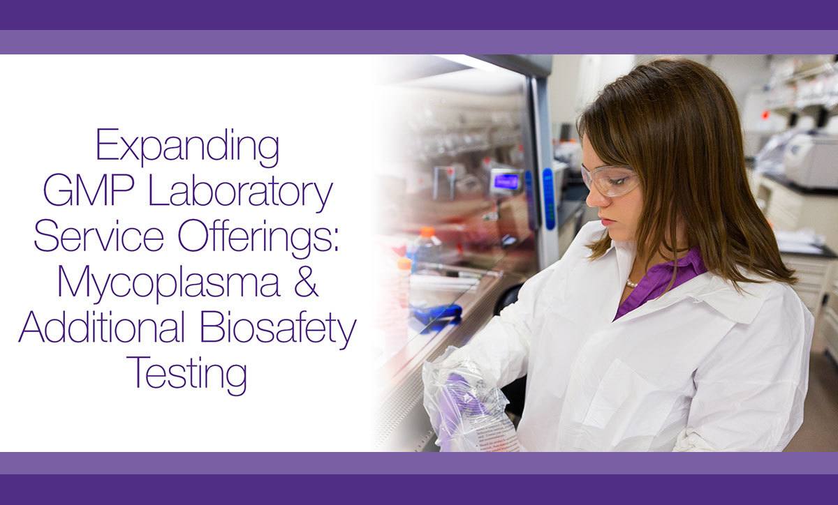 Expanded GMP Laboratory Service Offerings with Biosafety Testing Including Mycoplasma Testing