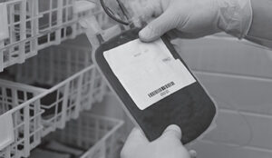 Sample bag from laboratory