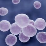 mycoplasmas header background