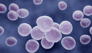 mycoplasmas header background