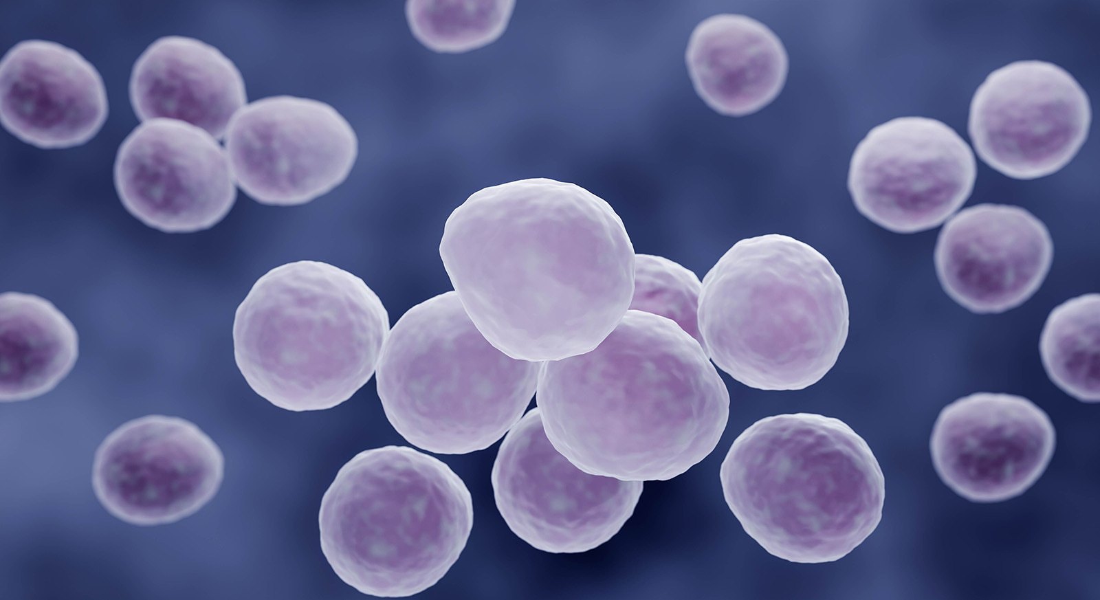 mycoplasmas header background