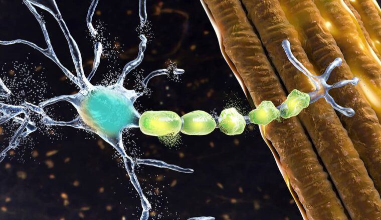 Neuroinflammatory illustration