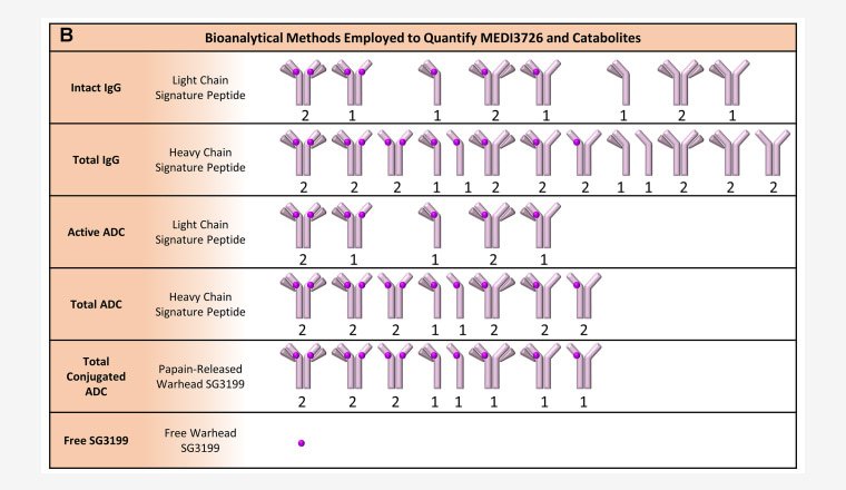 Screenshot of the analytical chemistry article titled "Multifaceted Bioanalytical Methods for the Comprehensive Pharmacokinetic and Catabolic Assessment of MEDI3726, an AntiProstate-Specific Membrane Antigen Pyrrolobenzodiazepine Antibody−Drug Conjugate"