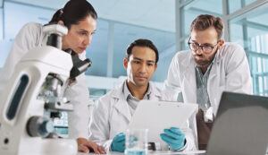 Drug development team reviewing documentation