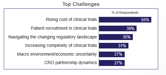 Graph titled, "Top challenges"