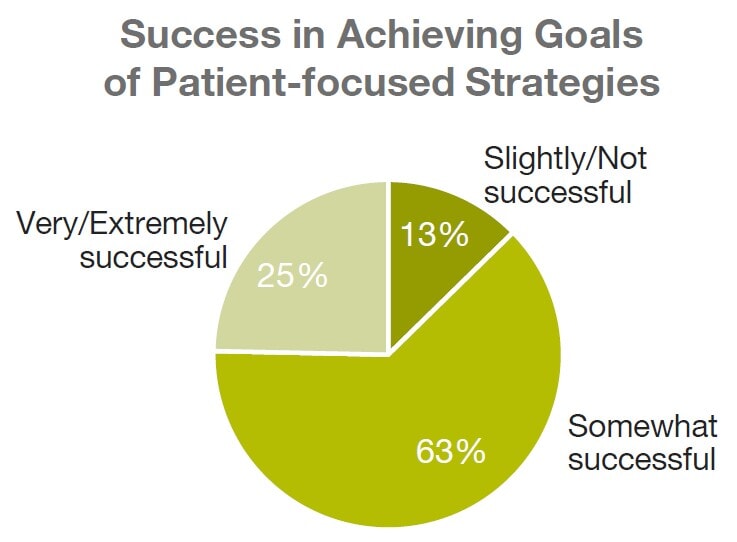 Success in achieving goals patient focus strategies pie chart